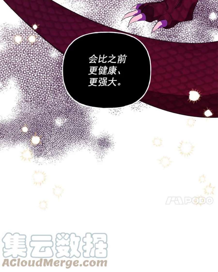 大魔法师的女儿55.生日