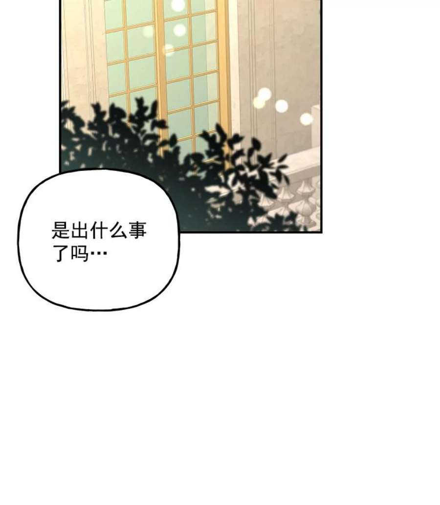 大魔法师的女儿55.生日