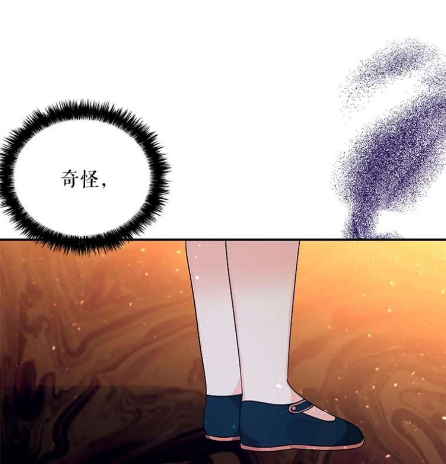 大魔法师的女儿55.生日