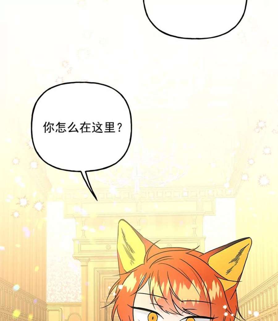 大魔法师的女儿55.生日