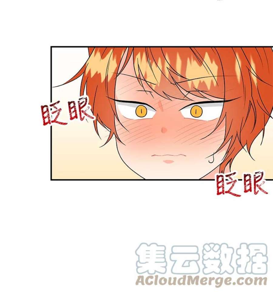 大魔法师的女儿55.生日