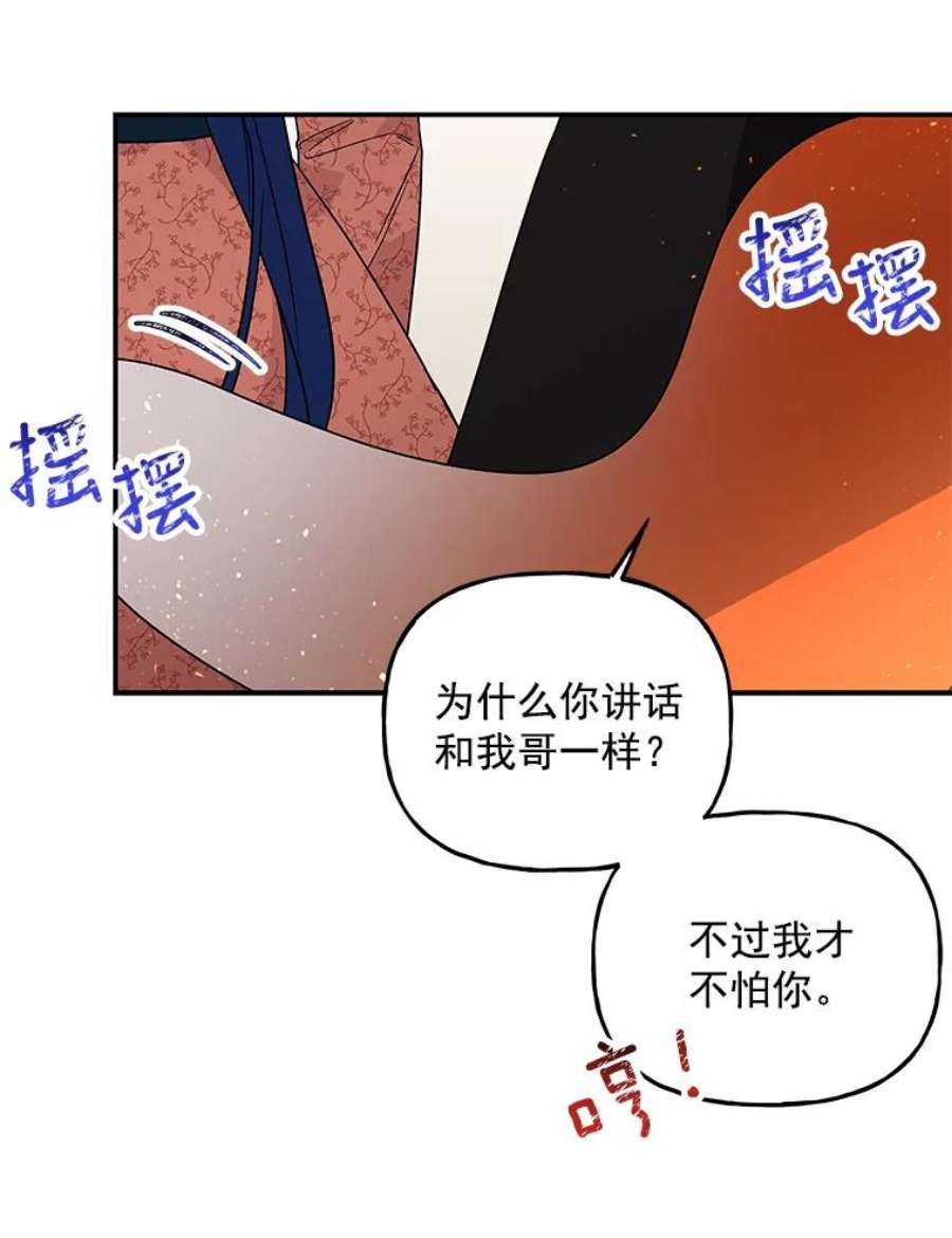 大魔法师的女儿55.生日