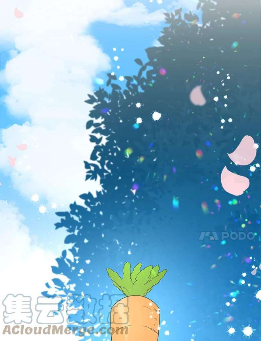 大魔法师的女儿55.生日