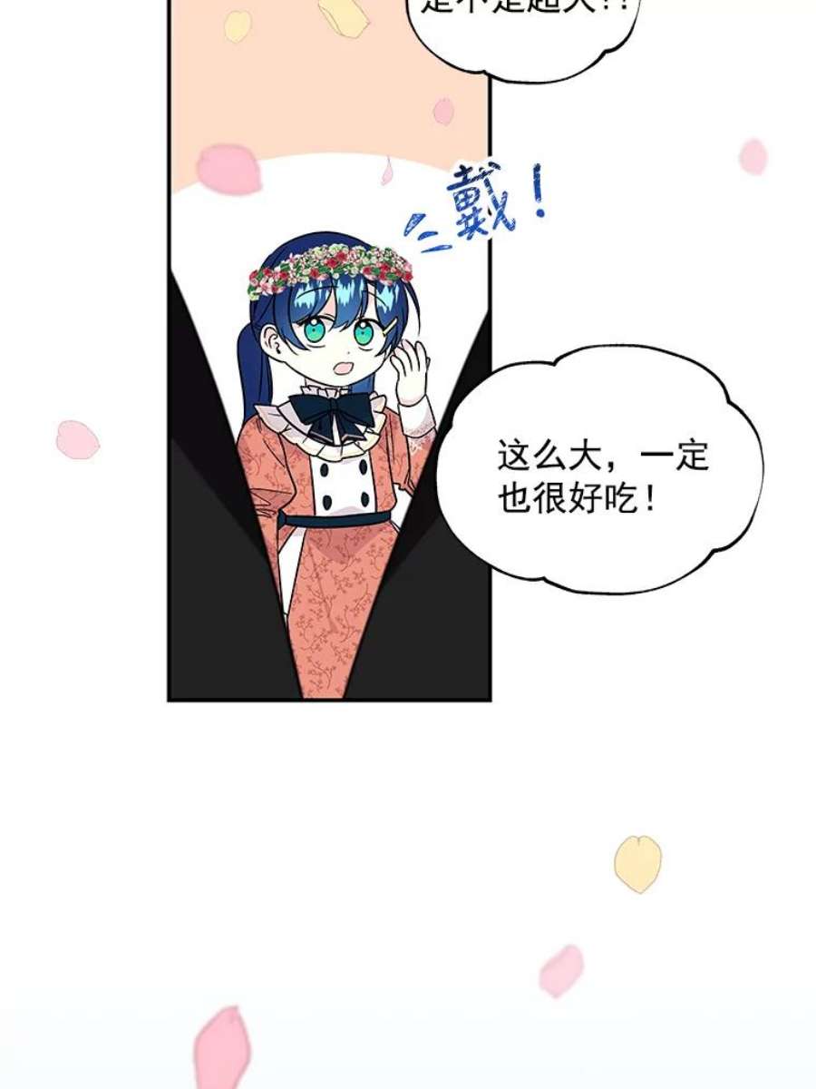 大魔法师的女儿55.生日