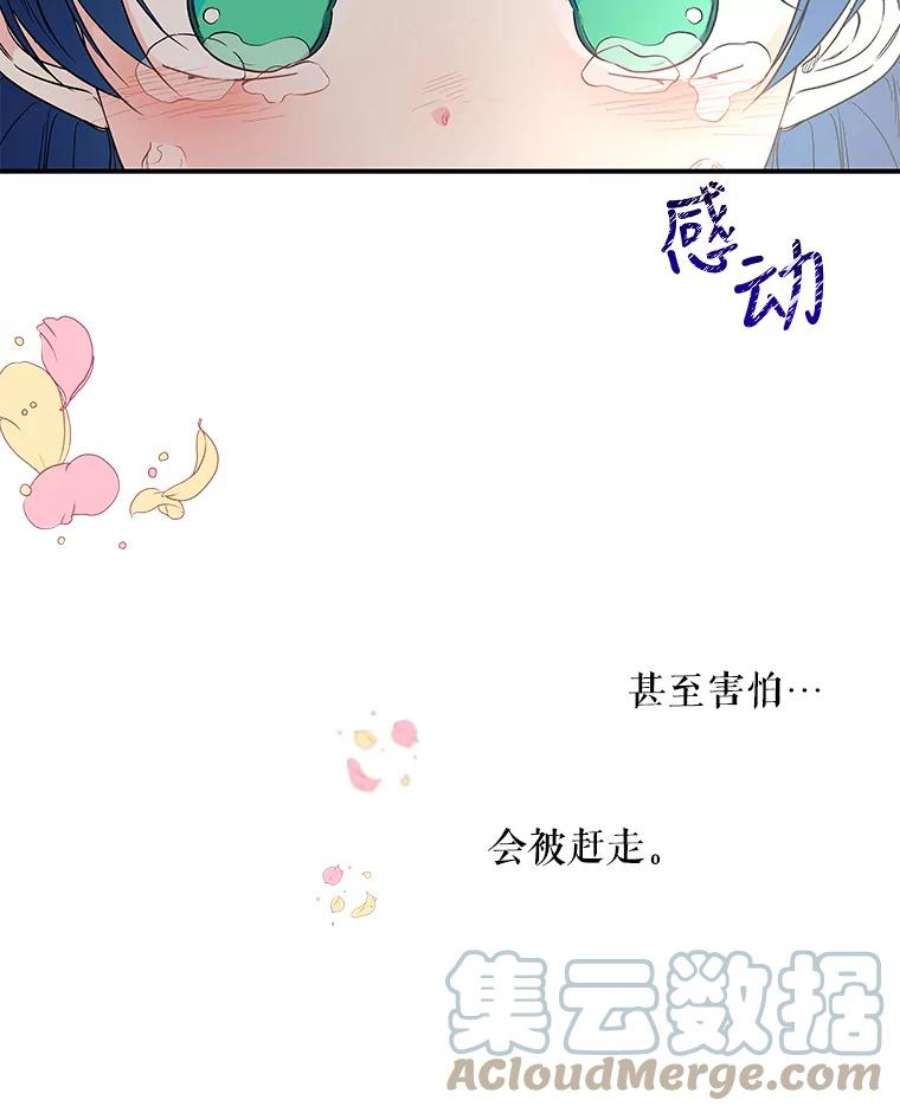 大魔法师的女儿55.生日