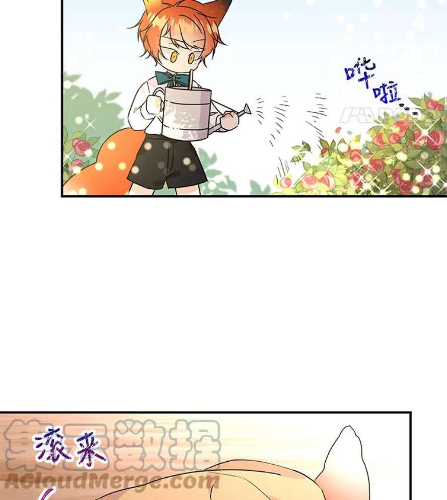 大魔法师的女儿56.番外-阿贝的一天