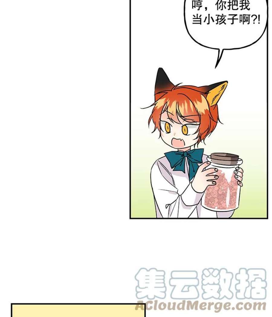 大魔法师的女儿56.番外-阿贝的一天