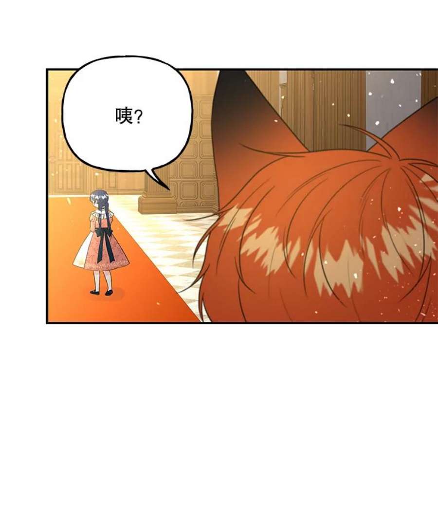 大魔法师的女儿56.番外-阿贝的一天