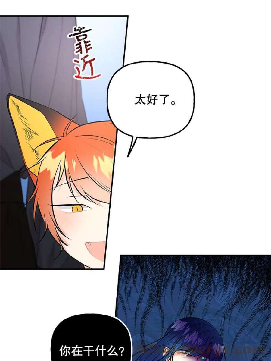 大魔法师的女儿57.种地