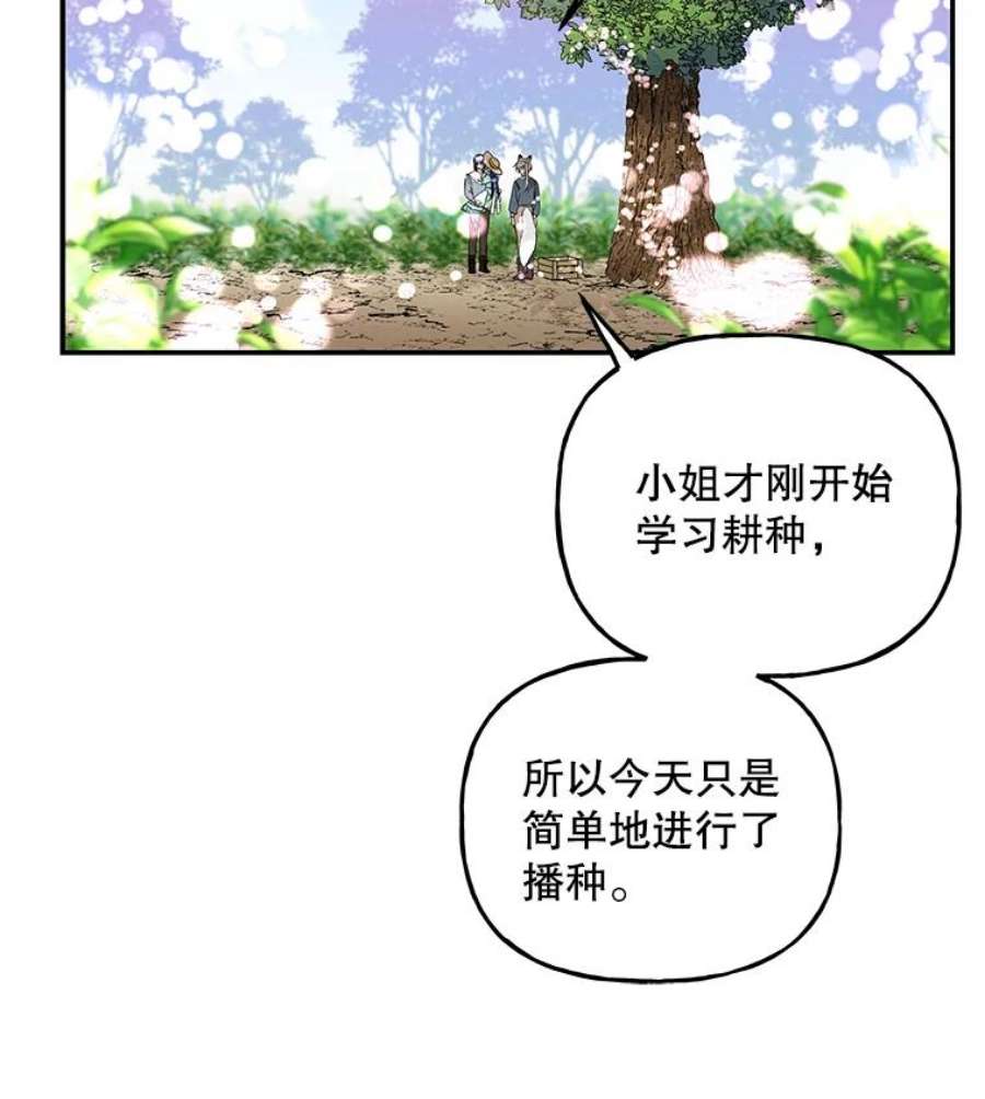 大魔法师的女儿58.胡萝卜田