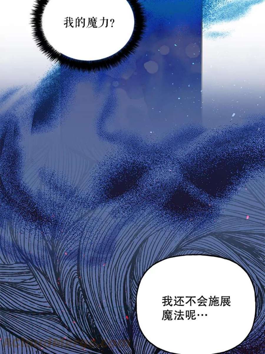 大魔法师的女儿59.天赋