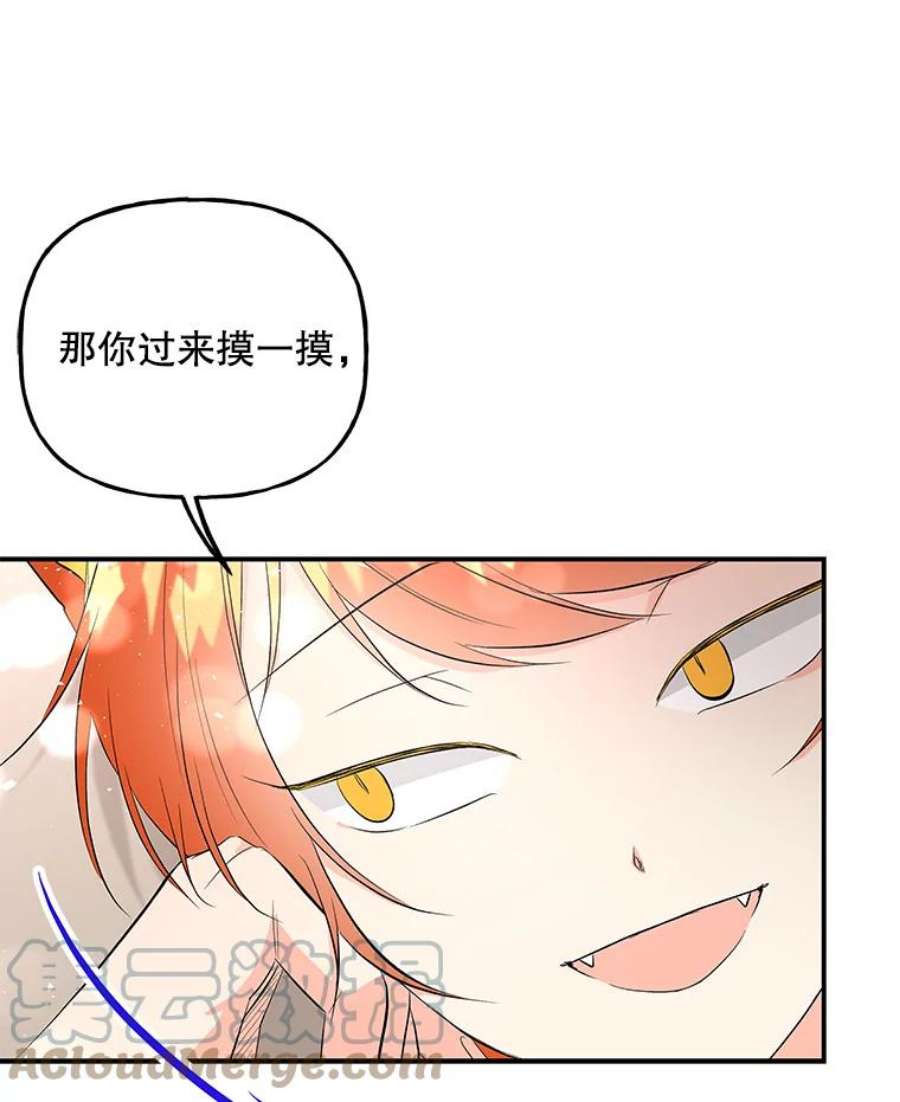 大魔法师的女儿60.神秘客人