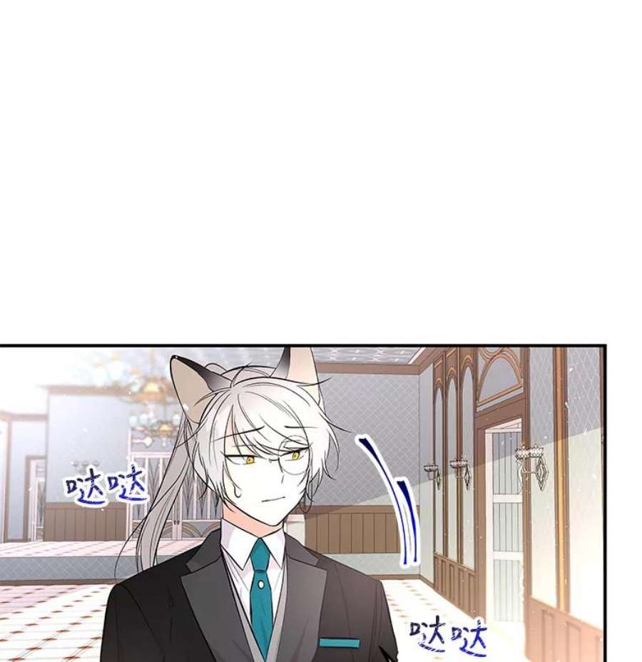 大魔法师的女儿60.神秘客人