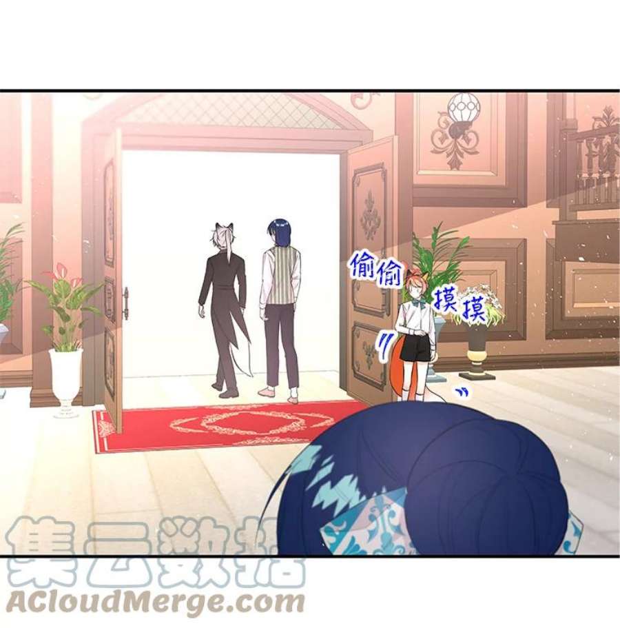 大魔法师的女儿60.神秘客人