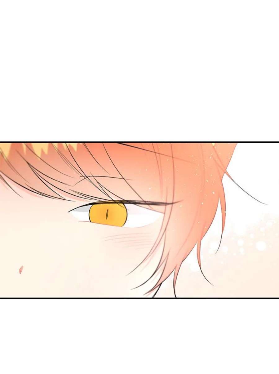 大魔法师的女儿61.熟人