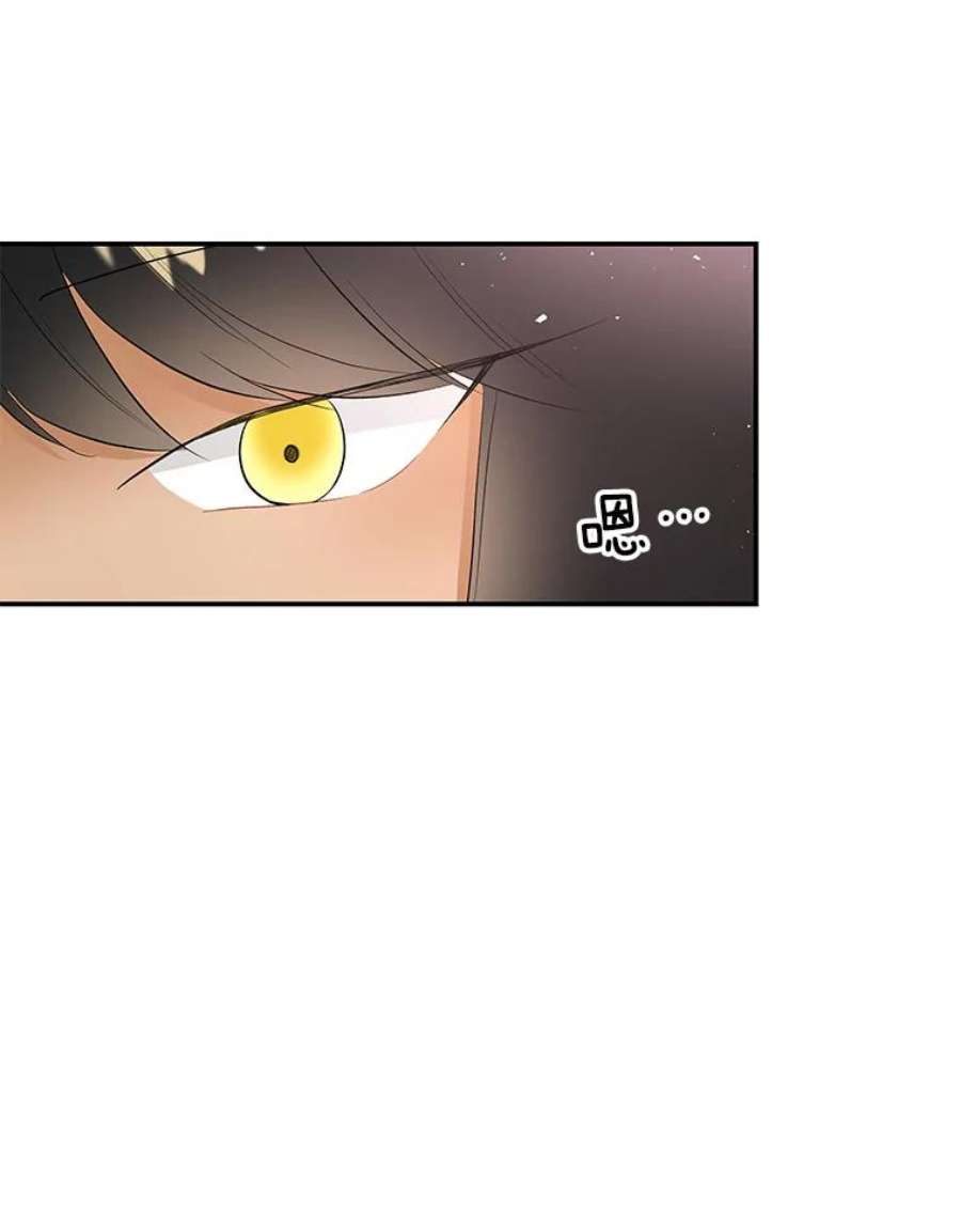 大魔法师的女儿62.薇薇安