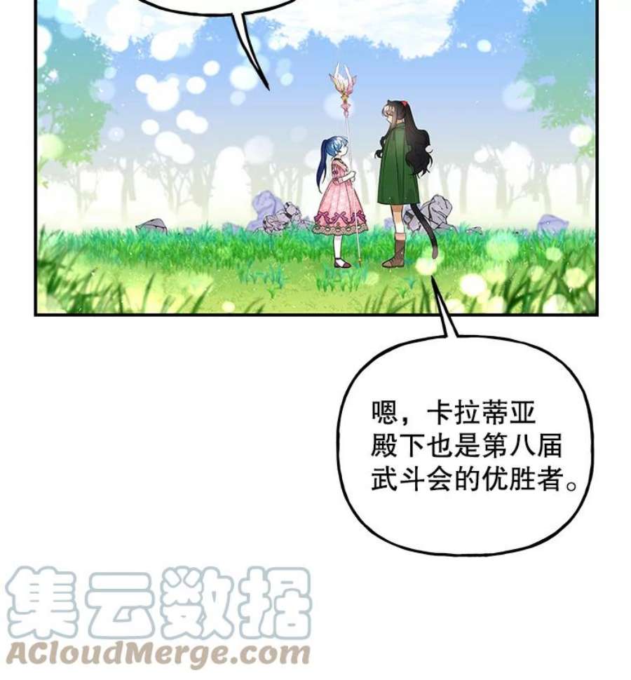 大魔法师的女儿65.精魄石