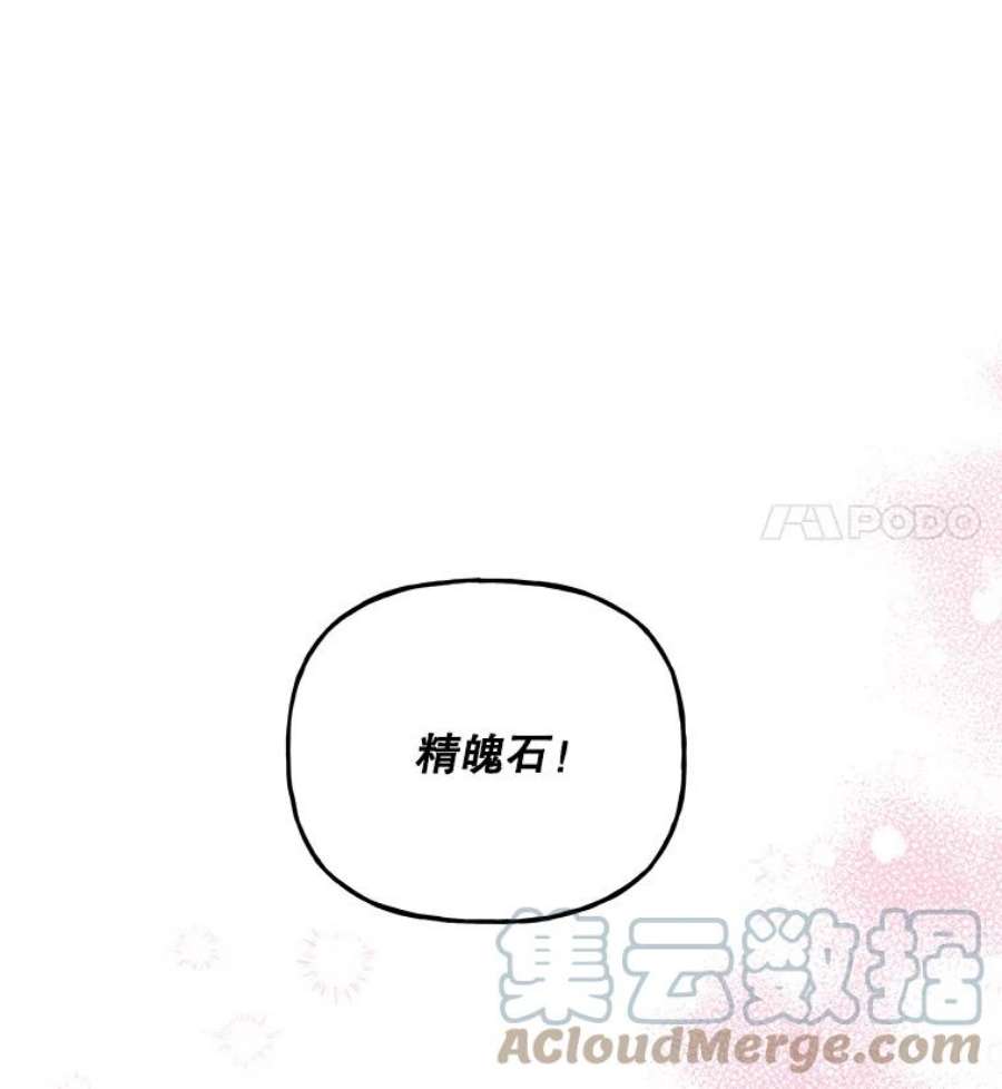 大魔法师的女儿65.精魄石