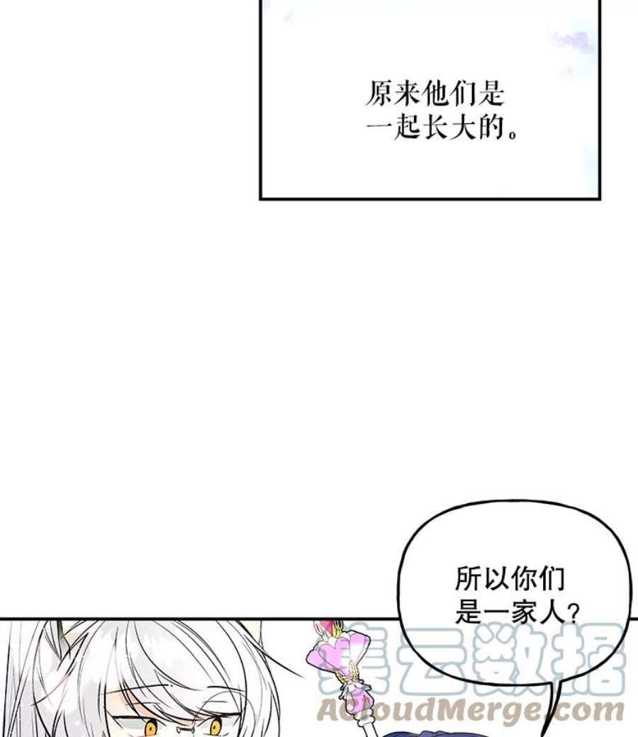 大魔法师的女儿65.精魄石