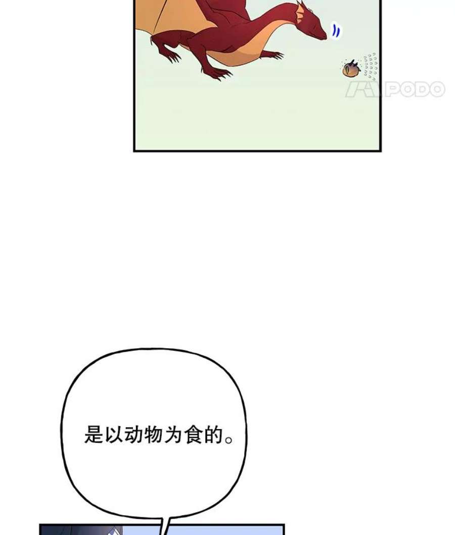 大魔法师的女儿70.准备出发