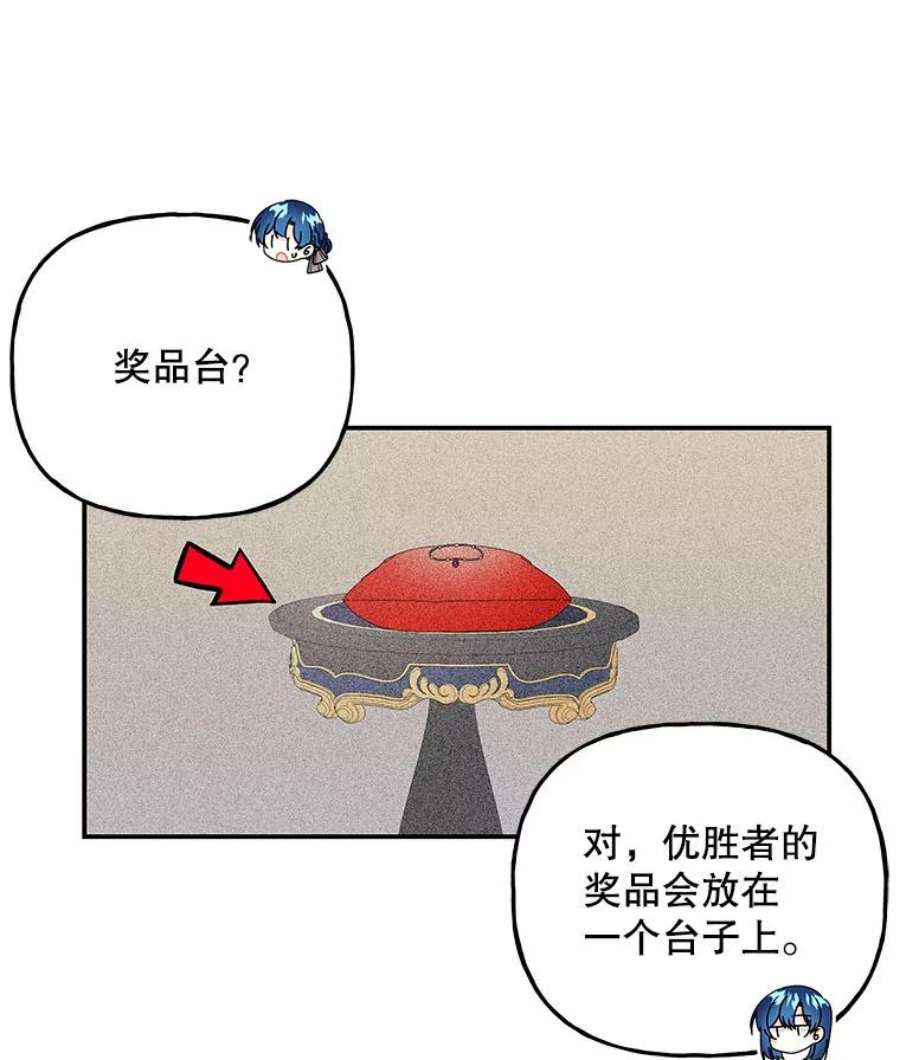 大魔法师的女儿74.准备入场