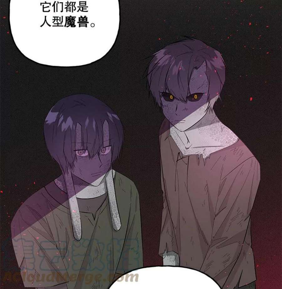 大魔法师的女儿77.驯服