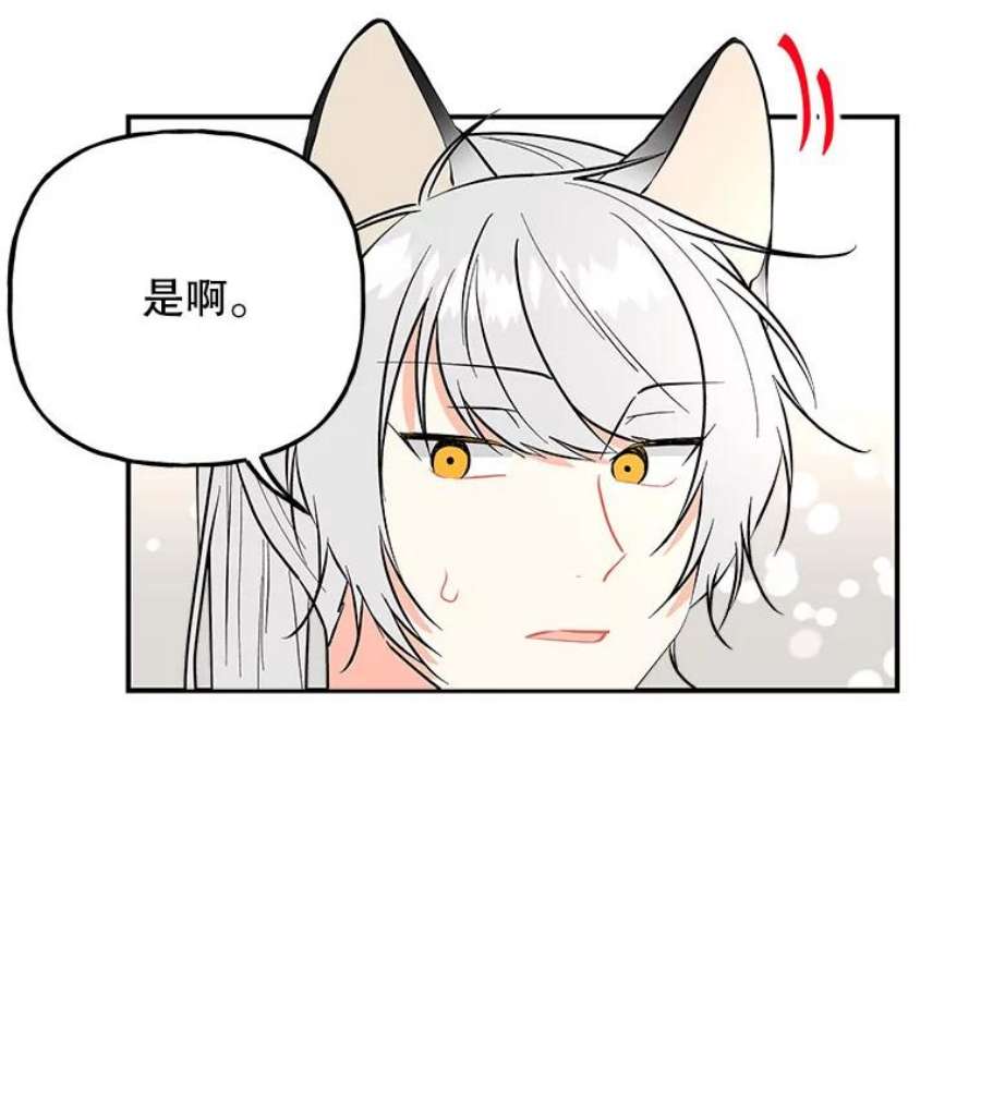 大魔法师的女儿77.驯服