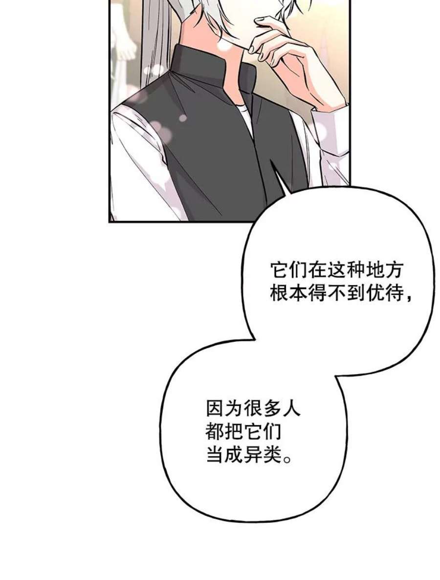 大魔法师的女儿77.驯服