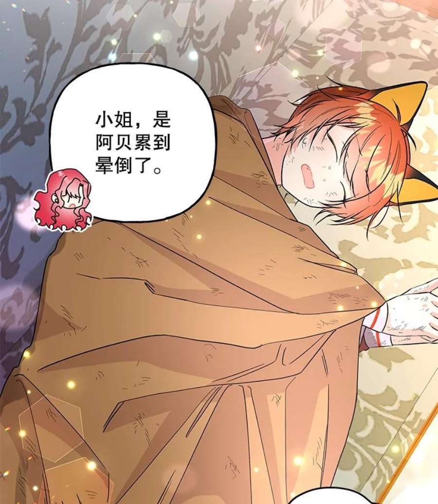 大魔法师的女儿78.疲惫的狐狸