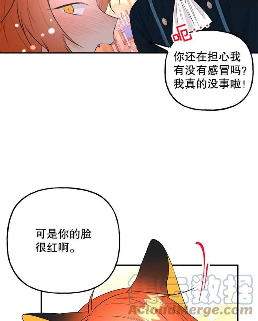 大魔法师的女儿78.疲惫的狐狸