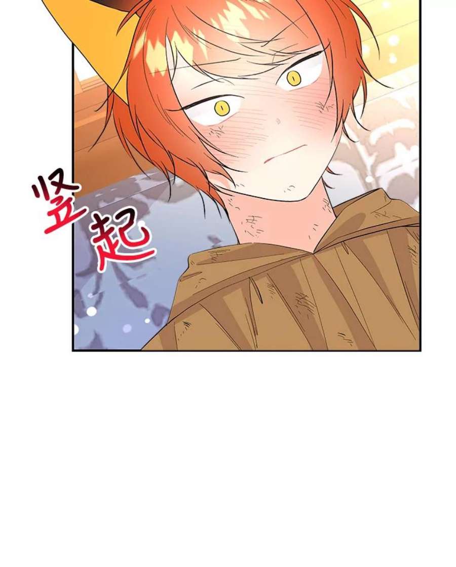 大魔法师的女儿78.疲惫的狐狸