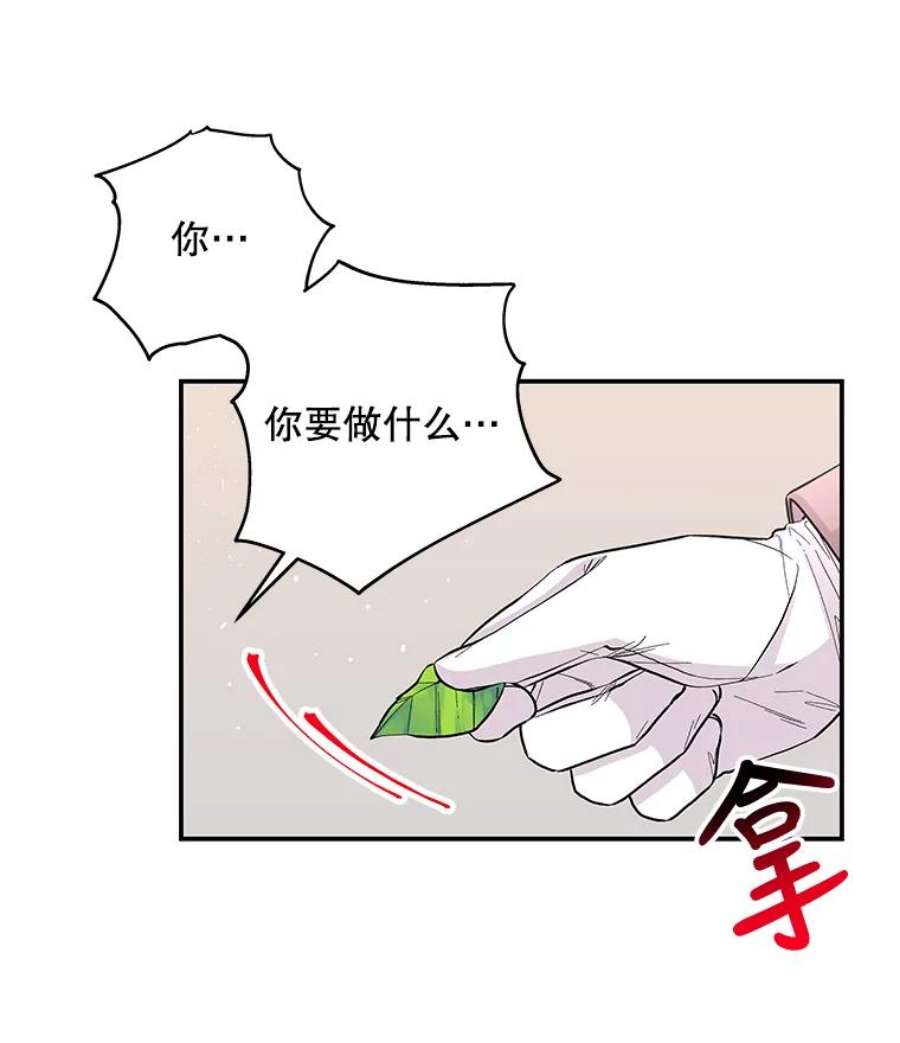 大魔法师的女儿78.疲惫的狐狸