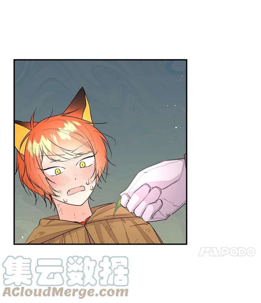 大魔法师的女儿78.疲惫的狐狸