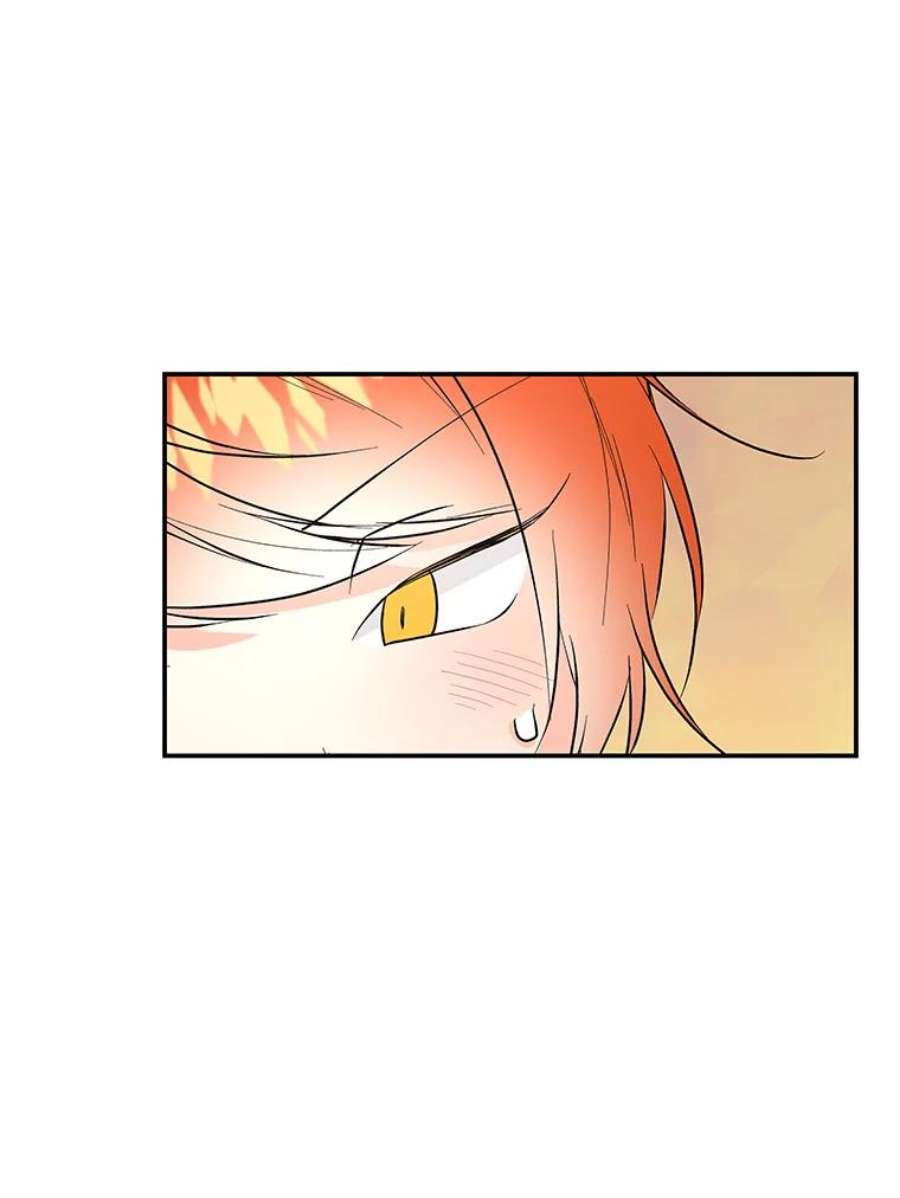 大魔法师的女儿78.疲惫的狐狸