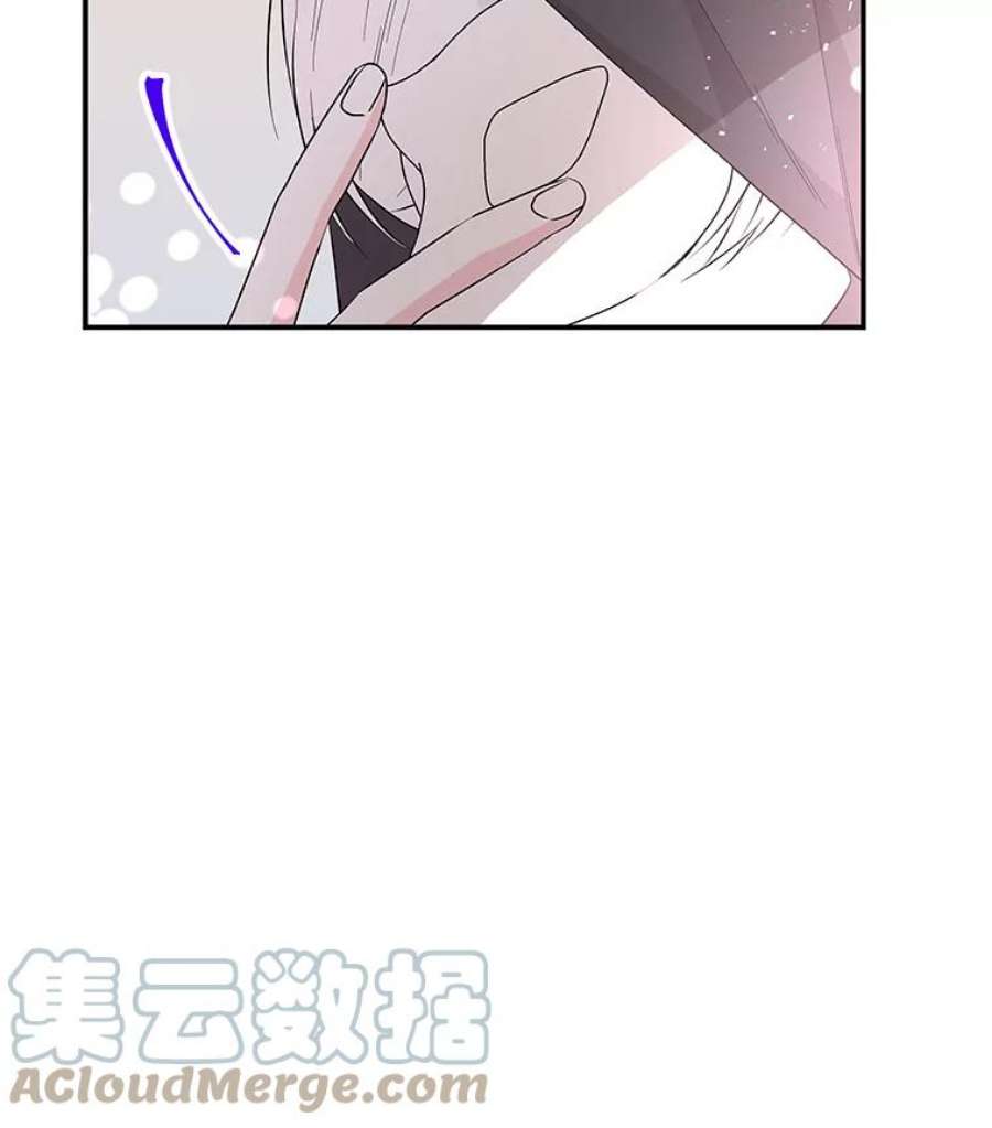 大魔法师的女儿78.疲惫的狐狸
