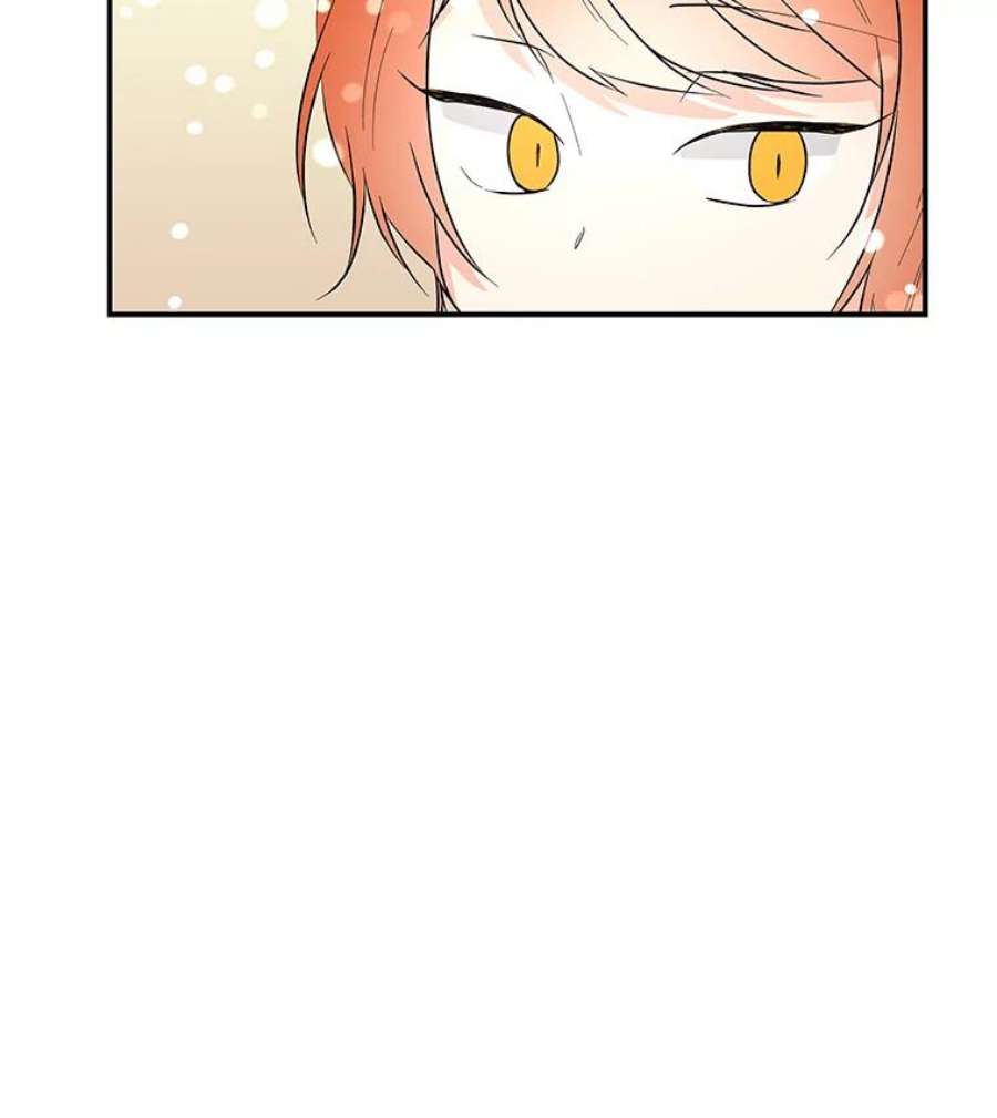 大魔法师的女儿79.决赛开始