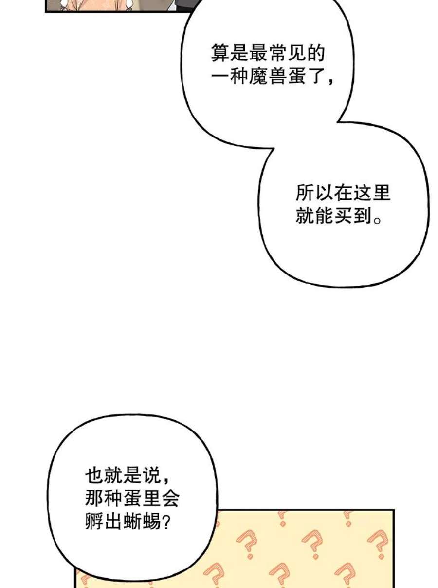 大魔法师的女儿80.奇怪的蛋