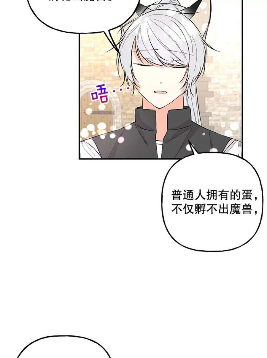 大魔法师的女儿80.奇怪的蛋