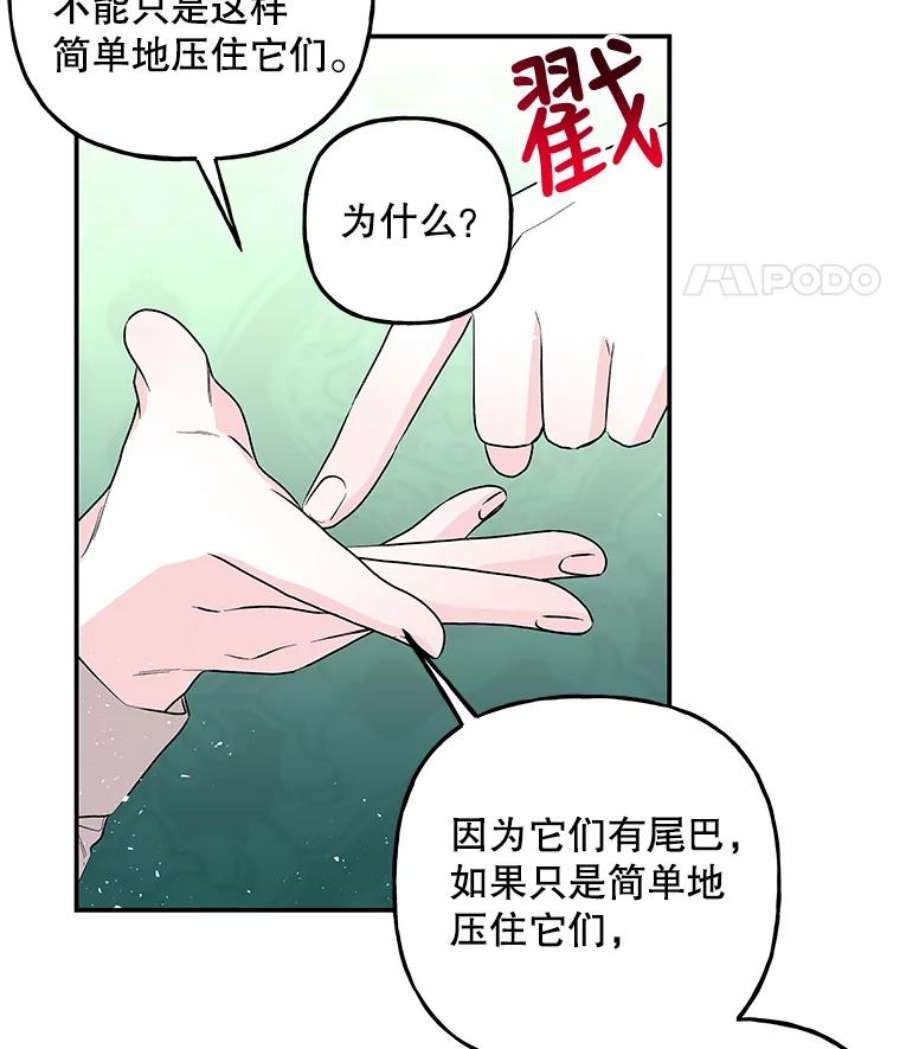 大魔法师的女儿81.比赛开始
