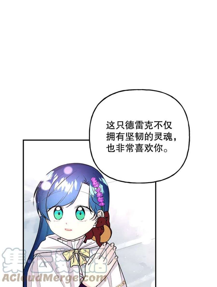 大魔法师的女儿83.庆祝演出