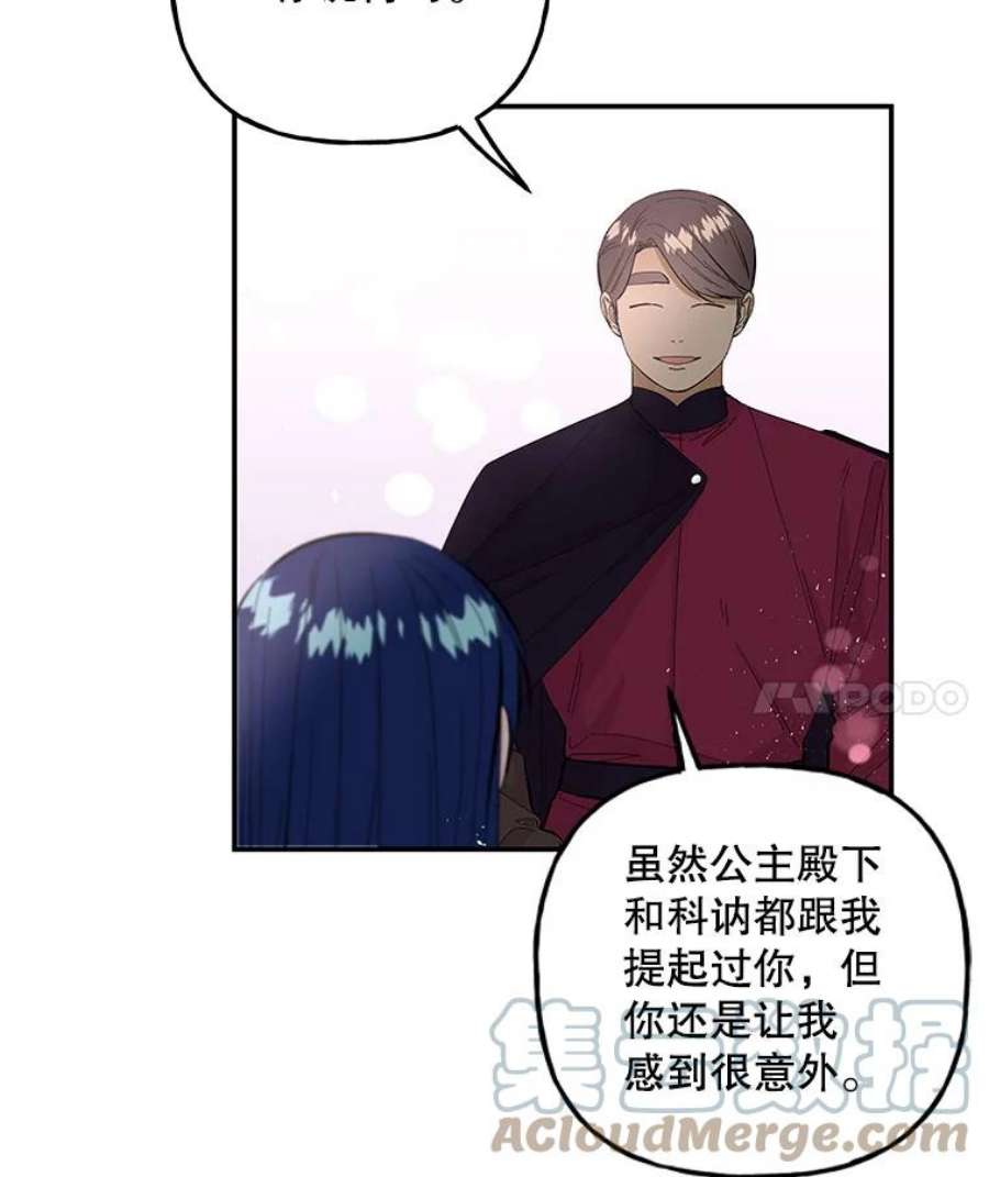 大魔法师的女儿83.庆祝演出