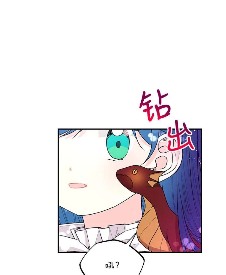 大魔法师的女儿83.庆祝演出