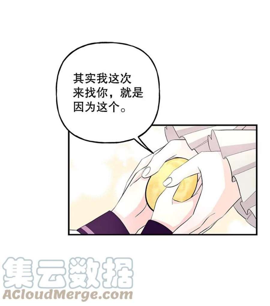 大魔法师的女儿87.另有计划