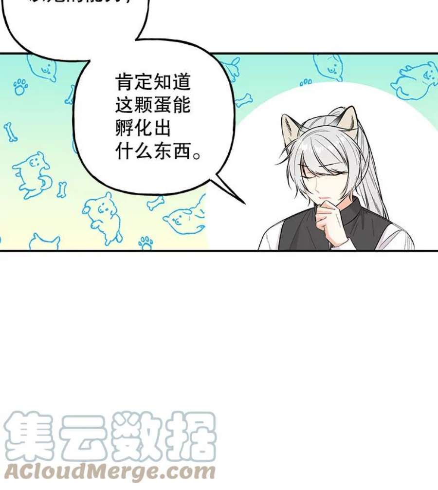 大魔法师的女儿87.另有计划