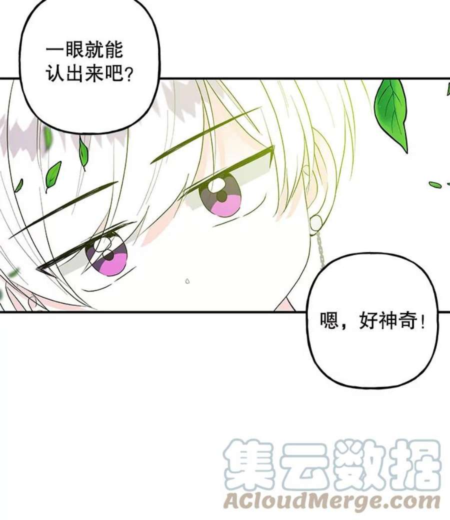 大魔法师的女儿99.话去的路