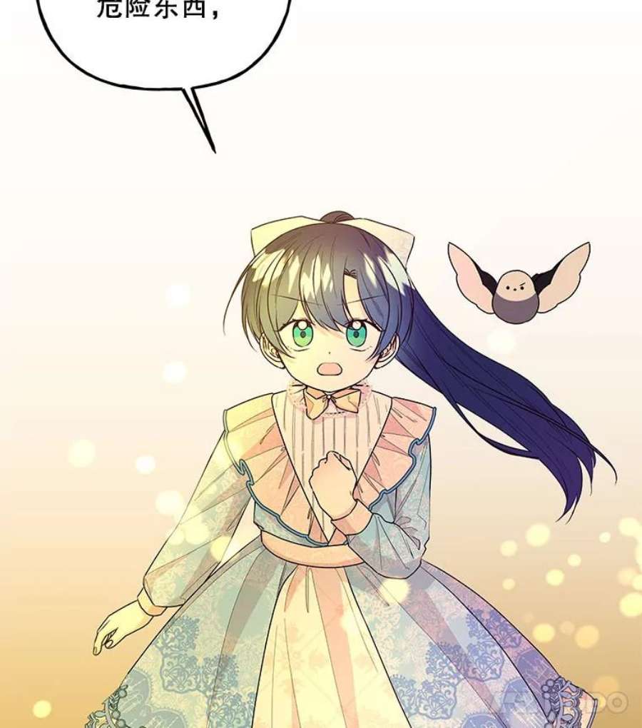 大魔法师的女儿100.建议