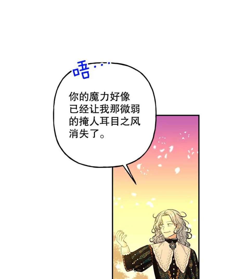 大魔法师的女儿100.建议