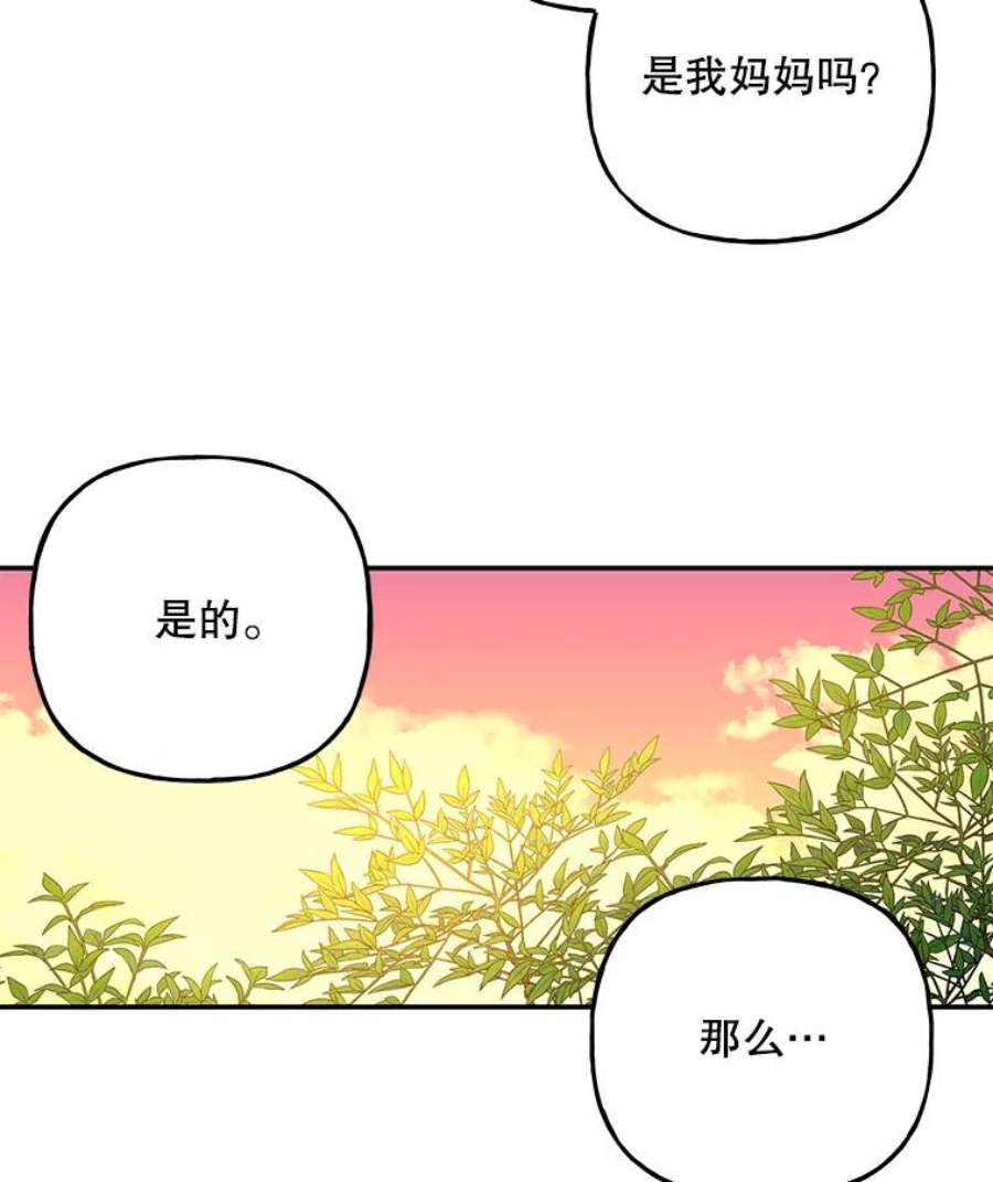 大魔法师的女儿100.建议