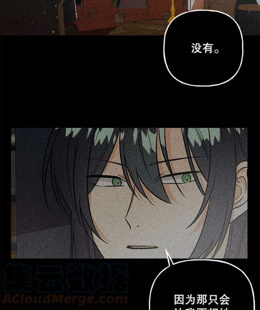 大魔法师的女儿100.建议