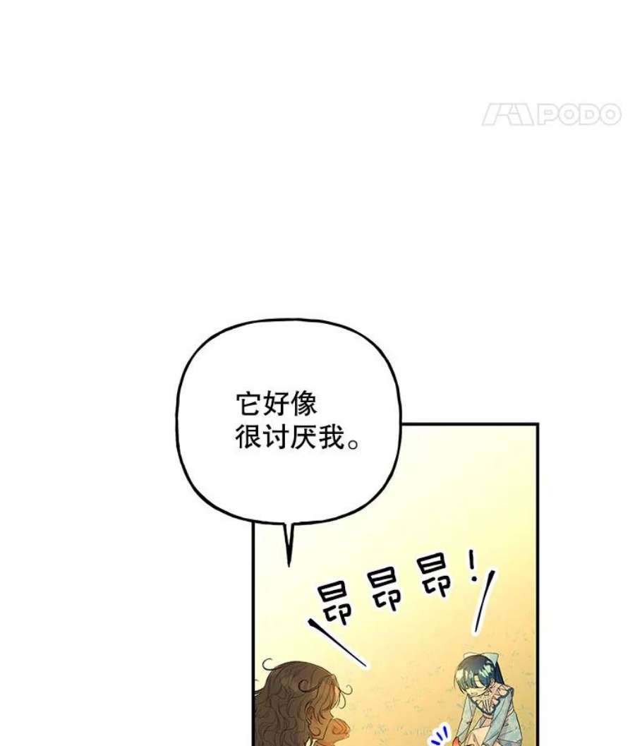 大魔法师的女儿101.风系魔法